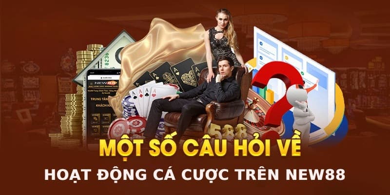 Câu hỏi thường gặp nâng cao từ người chơi lâu năm