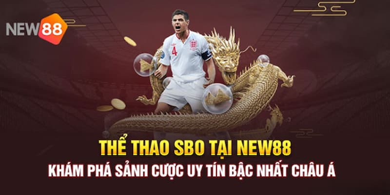 Kinh nghiệm chơi thể thao New88 hiệu quả