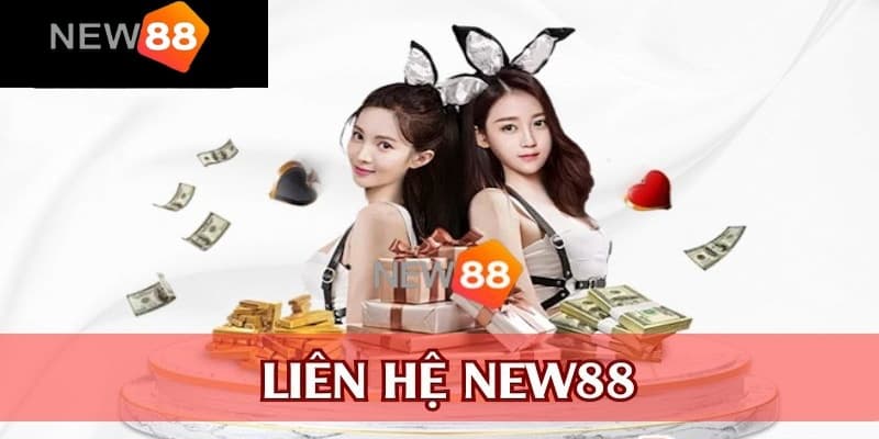 Tại sao cần liên hệ New88 trong quá trình sử dụng dịch vụ
