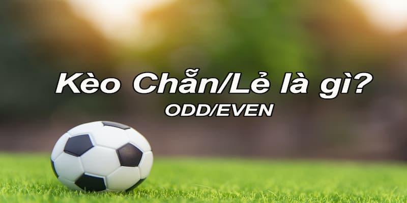 Tổng quan để hiểu rõ kèo chẵn lẻ là gì