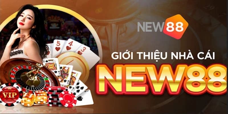 Trải nghiệm người dùng khi giới thiệu New88
