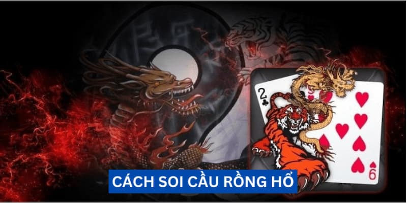 Vài nét trước khi biết cách soi cầu rồng hổ